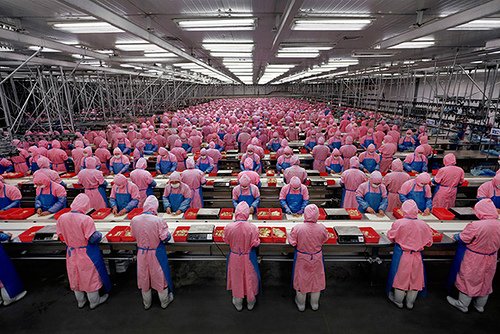 workers in chinese factory2 Workers in a Chinese factory